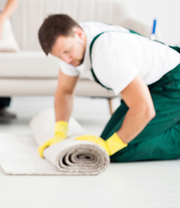 Affordable Carpet Cleaning Services in New Jersey