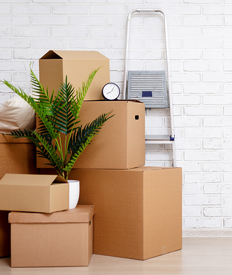 Best moving cleaners in Sea Bright and East Brunswick, New Jersey